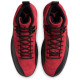 Nike Air Jordan 12 Retro